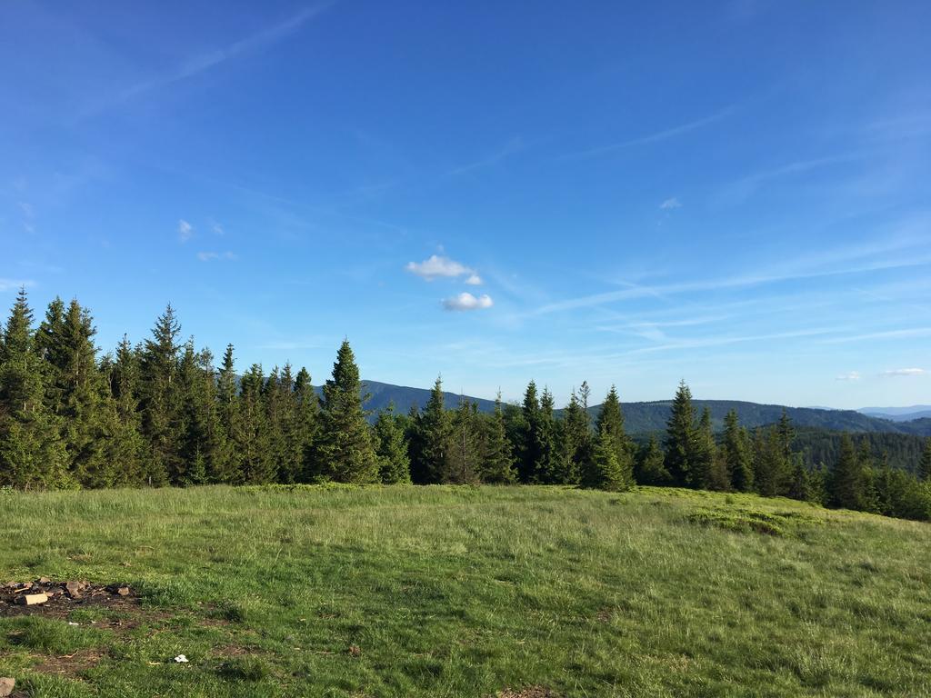 Agroturystyka Lesny Zakatek Stryszawa Exterior foto